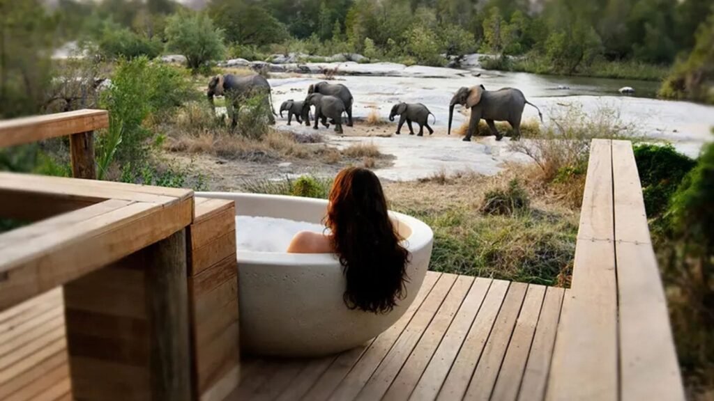 Kruger vs. Botswana: Comparing Africa's Top Big 5 Safari Destinations