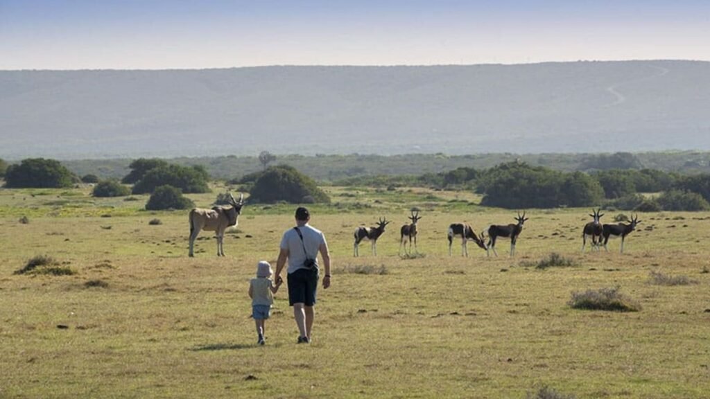 Private South African Adventure