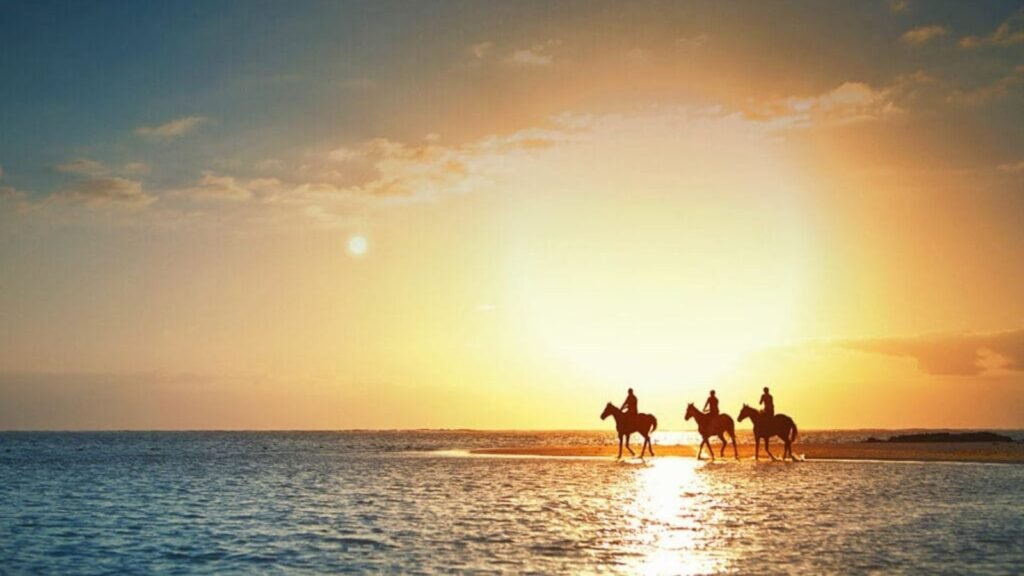 Family KwaZulu-Natal & Mauritius