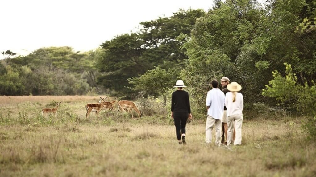 Family KwaZulu-Natal & Mauritius