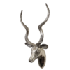 Kudu Head - Smooth Finish