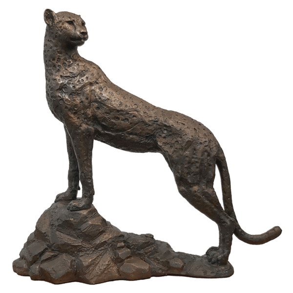 Siyaya Bronze Cheetah