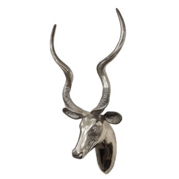 Kudu Head - Smooth Finish