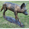 Bronze Wild Dog Bronze