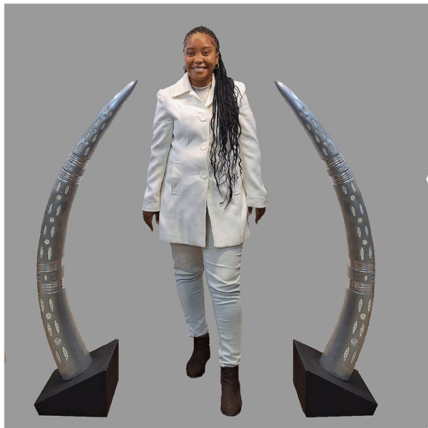 Elephant Tusk Pair - Medium