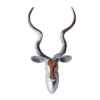 Kudu Head - Smooth Finish