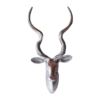 Kudu Head - Textured Finish