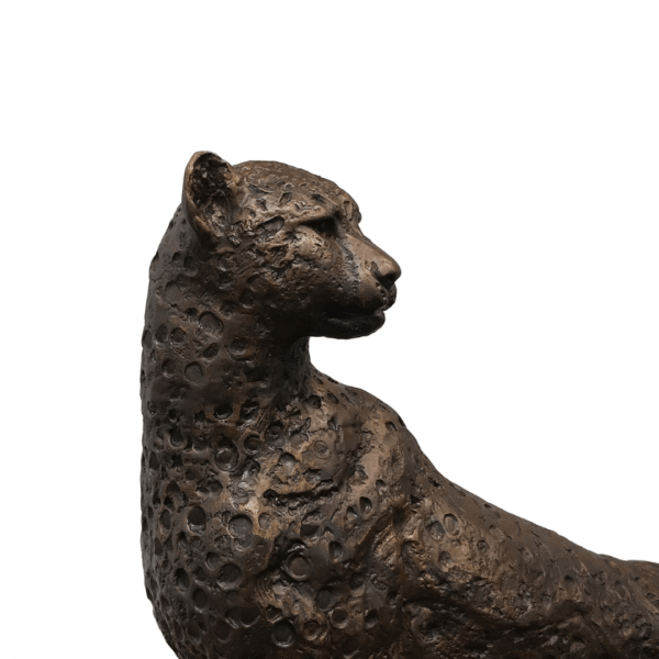 Siyaya Bronze Cheetah