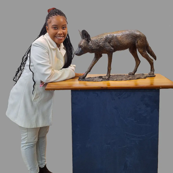 Bronze Wild Dog Bronze
