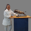 Wildebeest Bronze Sculpture