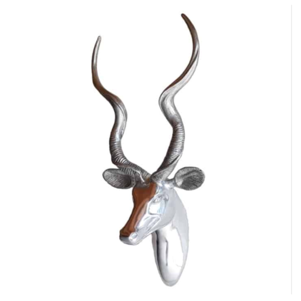 Kudu Head - Smooth Finish