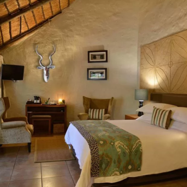 Kudu Head - Textured Finish