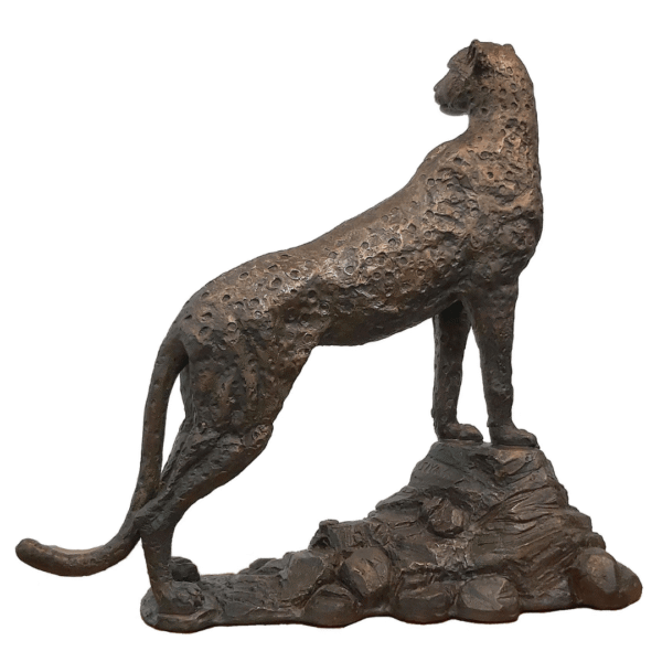 Siyaya Bronze Cheetah