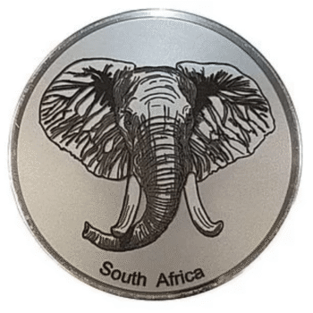 Engraved Elephant Head (Rm)