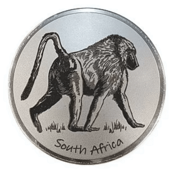 Engraved Baboon