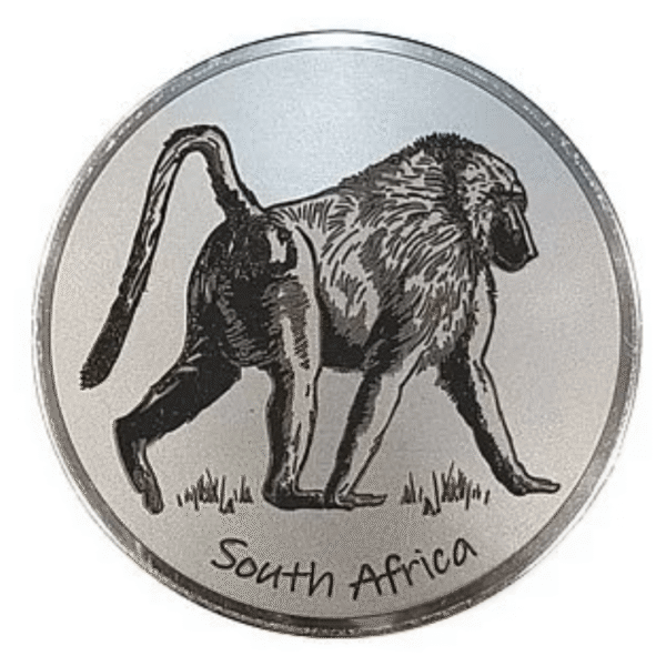 Engraved Baboon