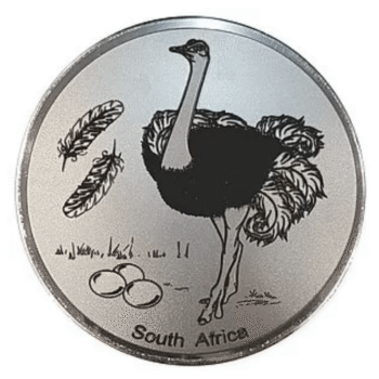 Engraved Ostrich