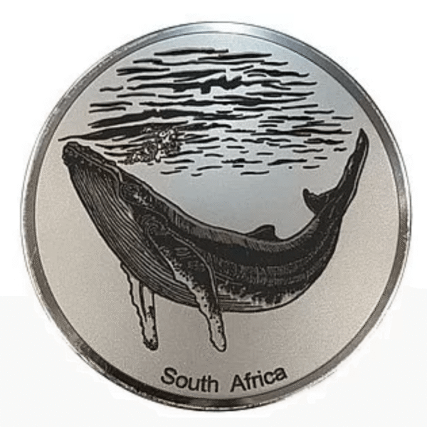 Whale Fridge Magnet