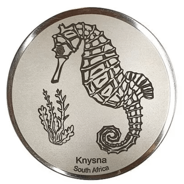 Engraved Seahorse (Knysna)
