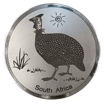 Engraved Guinea Fowl