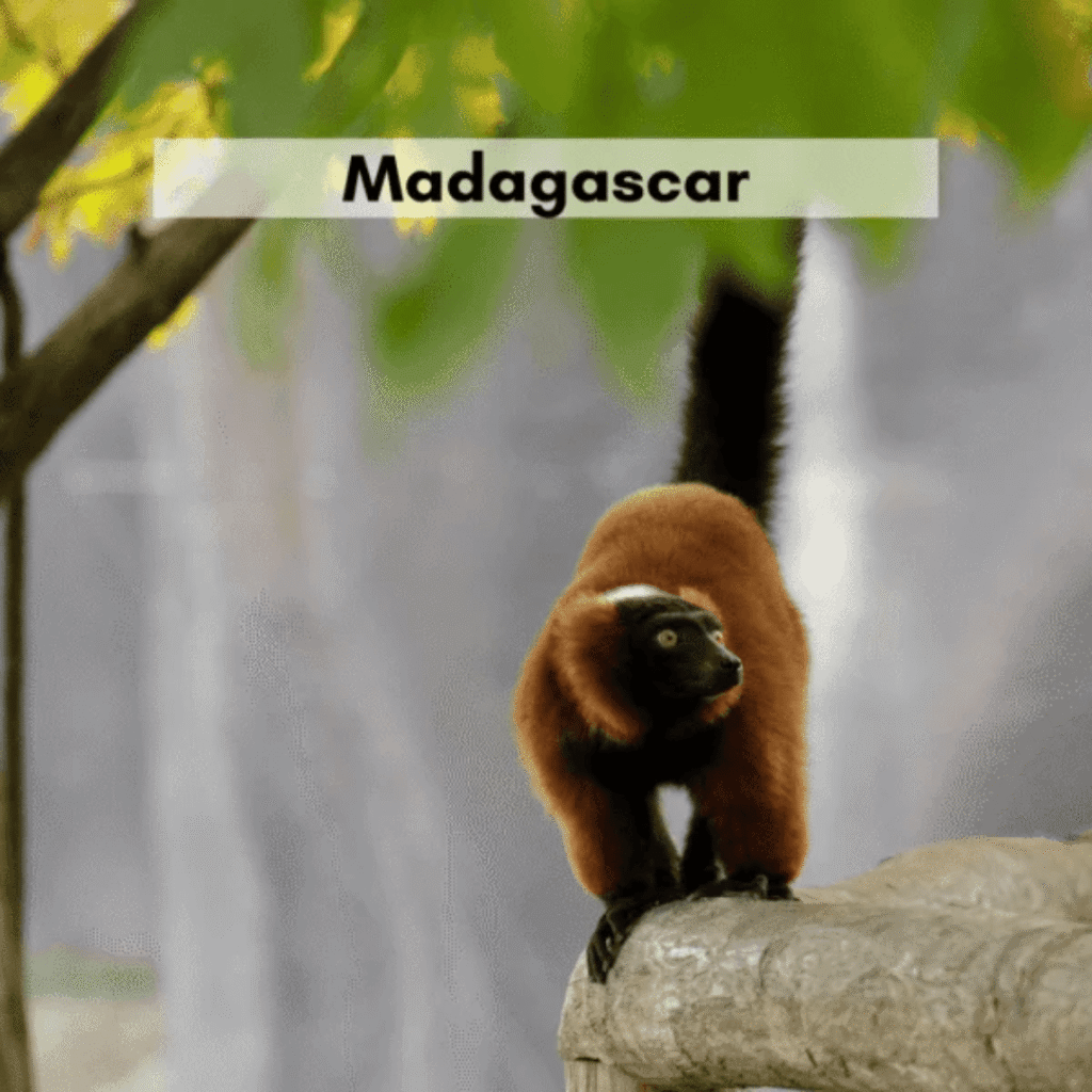 Madagascar