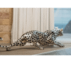 Cheetah Stalking Sculpture Silver