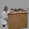 Cheetah Stalking Sculpture Silver
