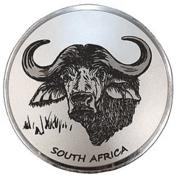 Engraved Buffalo (Rm)