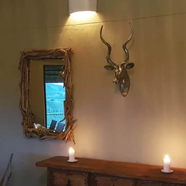 Kudu Head - Textured Finish