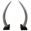 Elephant Tusk Pair - Medium