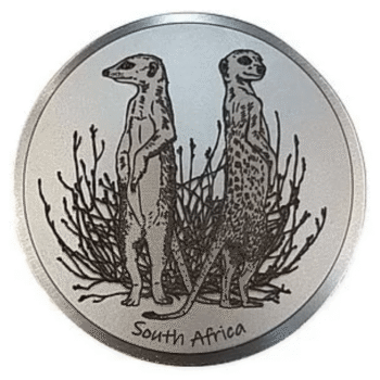 Engraved Meerkat