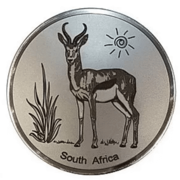 Engraved Springbok