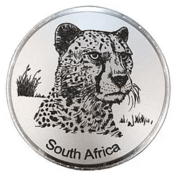 Engraved Cheetah (Rm)