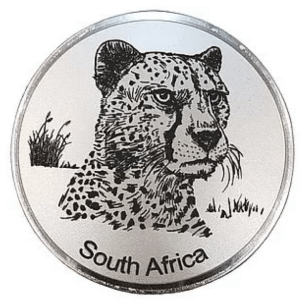 Engraved Cheetah (Rm)