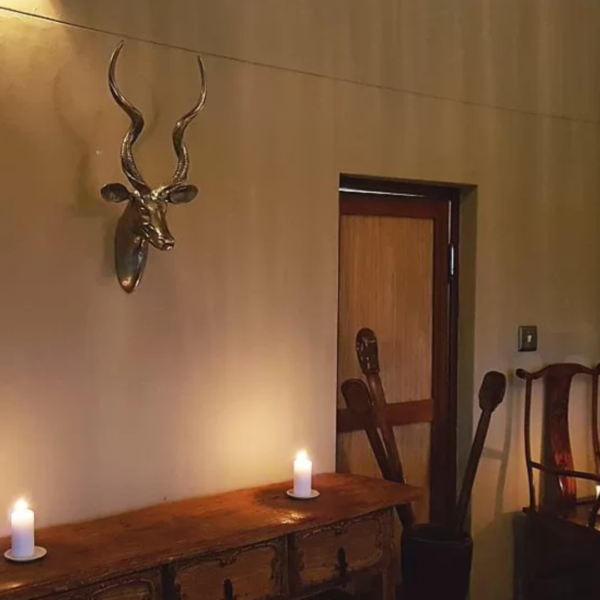 Kudu Head - Textured Finish