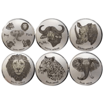 Big 5 Animals Gift Set