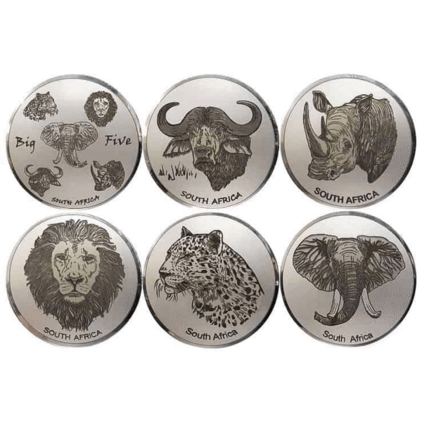 Big 5 Animals Gift Set