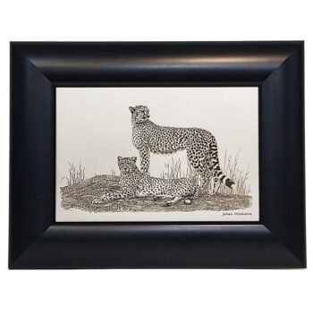 Johan Hoekstra Engraved Cheetahs 2