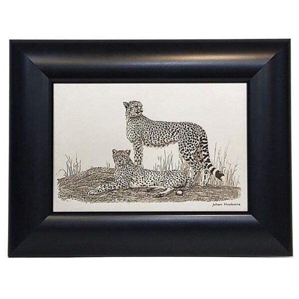 Johan Hoekstra Engraved Cheetahs 2
