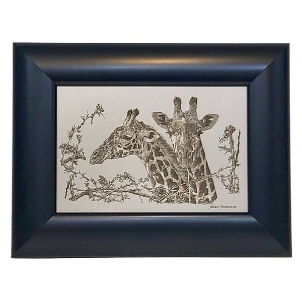 Johan Hoekstra Engraved Two Giraffes