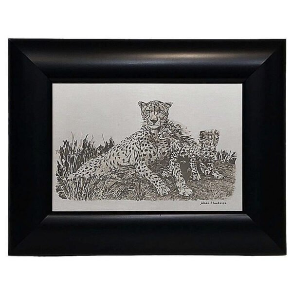Johan Hoekstra Engraved Cheetahs 3