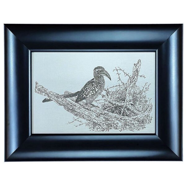 Johan Hoekstra Engraved Hornbill