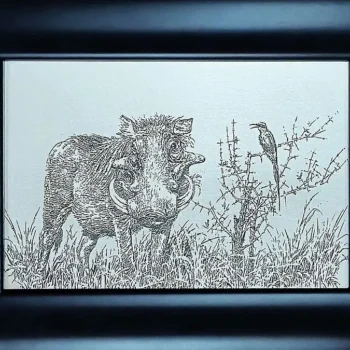 Johan Hoekstra Engraved Warthog