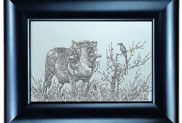 Johan Hoekstra Engraved Warthog