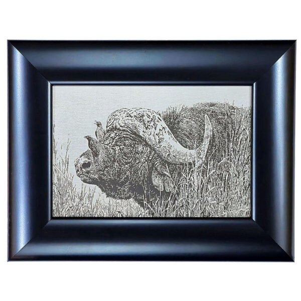Johan Hoekstra Engraved Buffalo