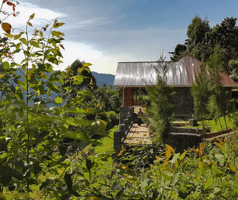 Uganda: Finding the Soul of the Pearl