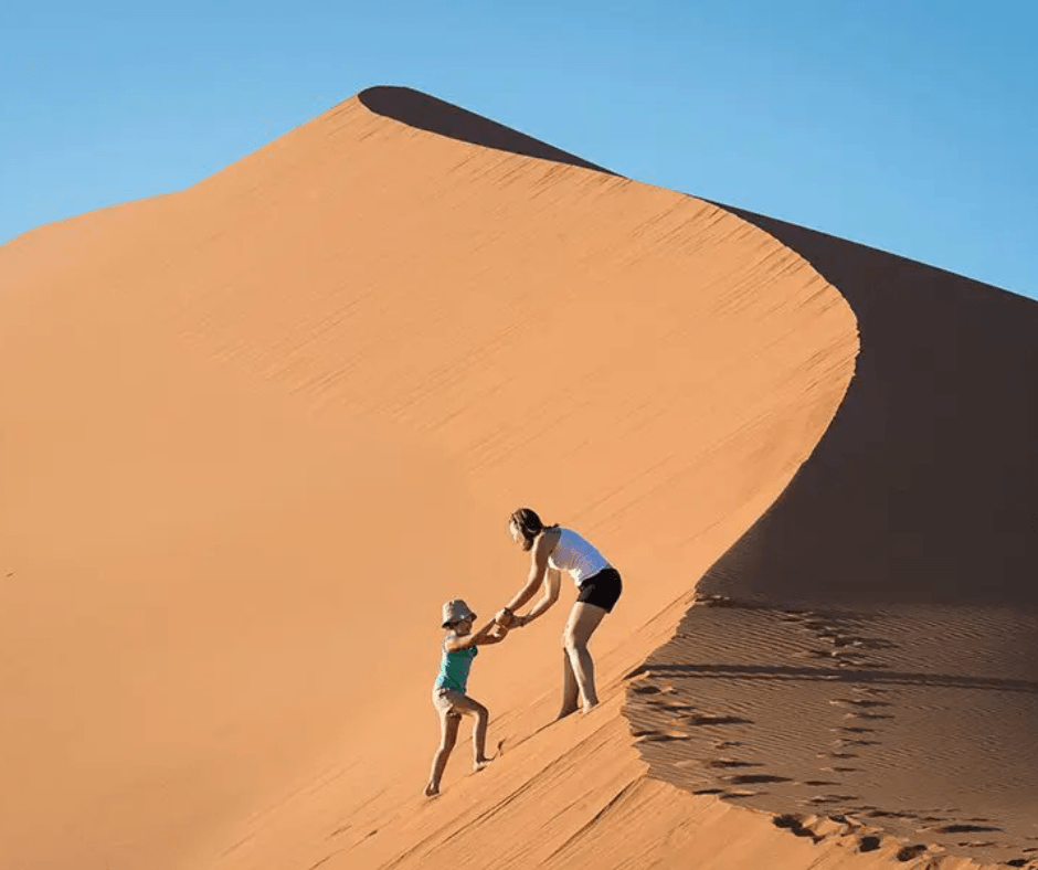 Namibia Nala Africa Collections