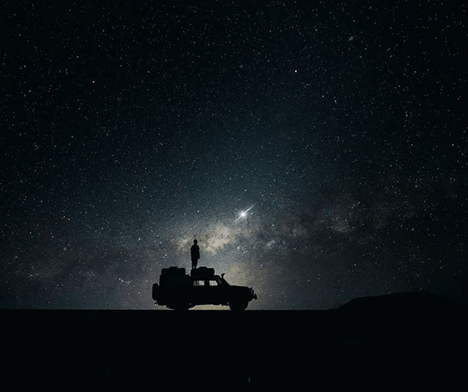 Namibia Nala Africa Collections