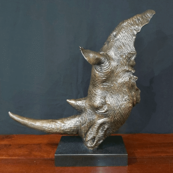 Bronze rhino head