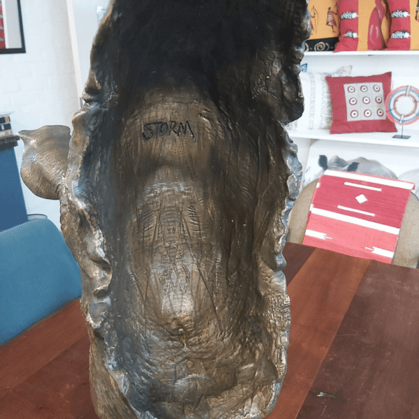 Bronze rhino head